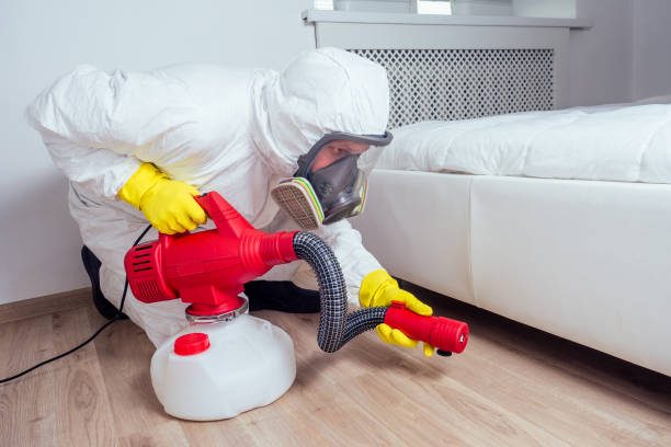 Emergency Pest Control Services in Bellevue, IL